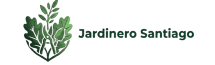 Gemini_Generated_Image_ddtlysddtlysddtl-removebg-preview